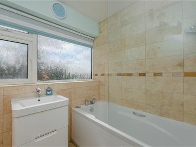 Picture 14